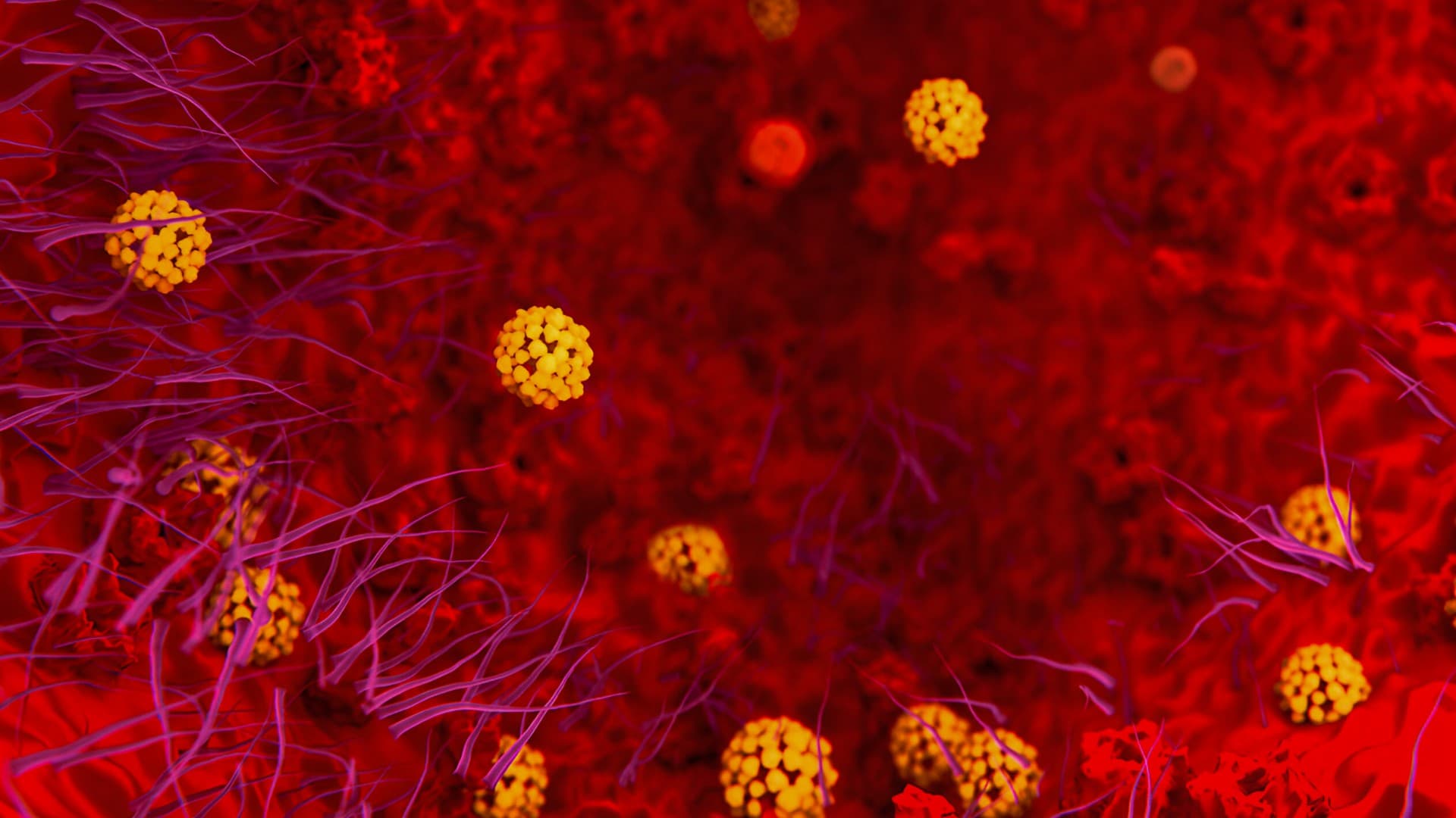 Коронавирус. Все, что нужно знать. 2 часть