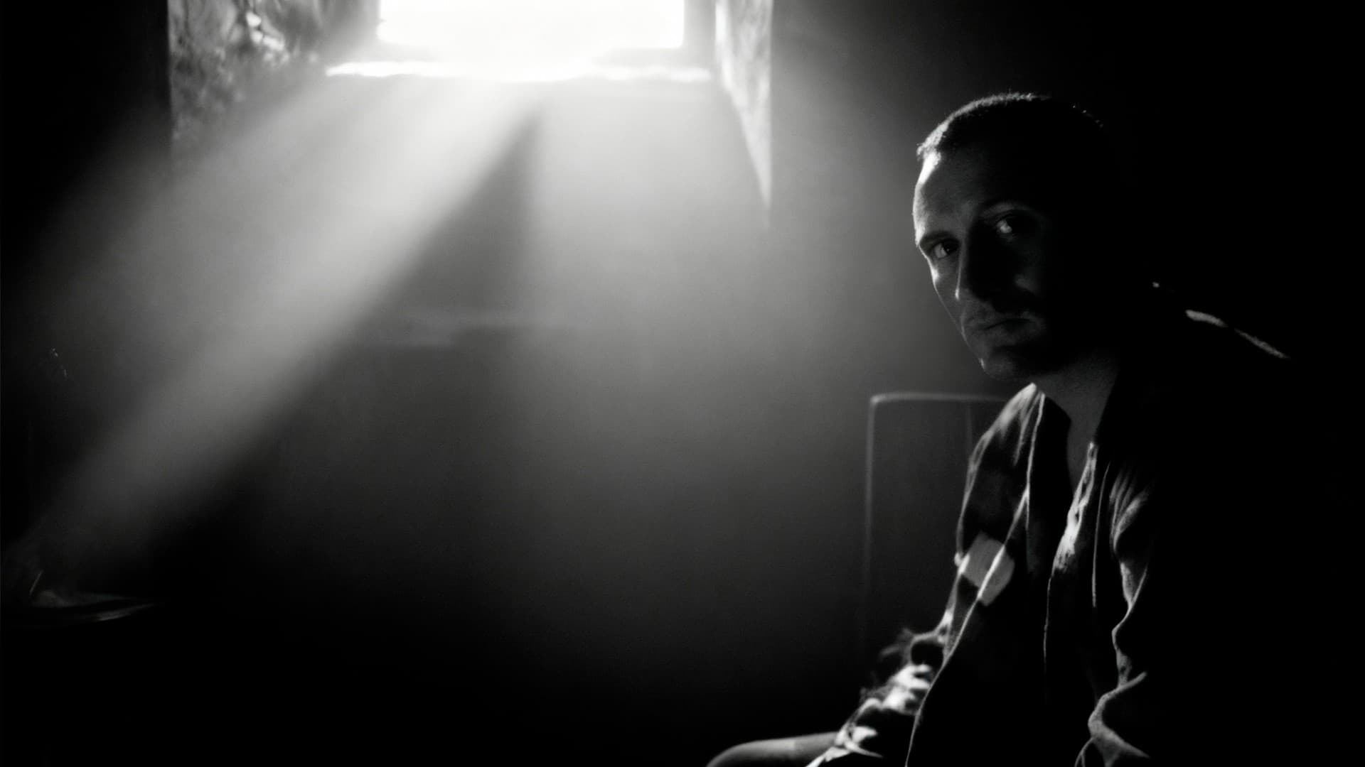 Сорок третий номер